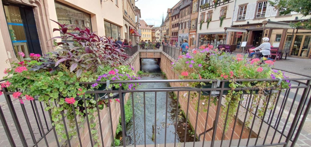Le Green St Leon : Lit Queen Size * Wifi * Ideal Couple Кольмар Экстерьер фото