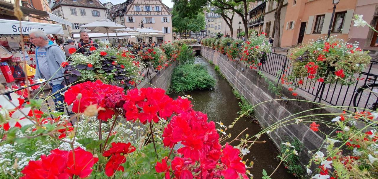 Le Green St Leon : Lit Queen Size * Wifi * Ideal Couple Кольмар Экстерьер фото